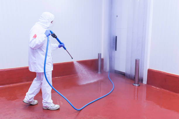 Spring Cleaning in Mount Pulaski, IL