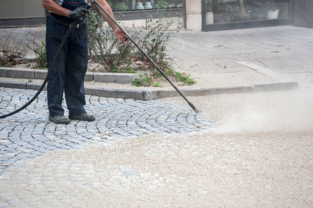 Best Parking Lot and Garage Cleaning  in Mount Pulaski, IL